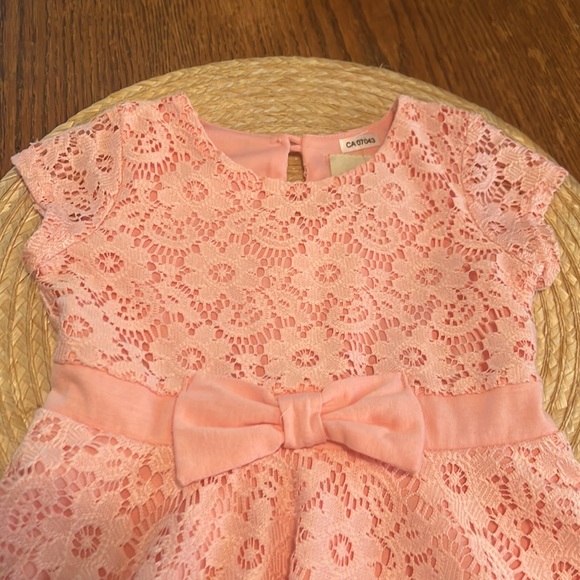 Lily Bleu Lush Pink Fit&Flare Dress Size 24M - Picture 5 of 12